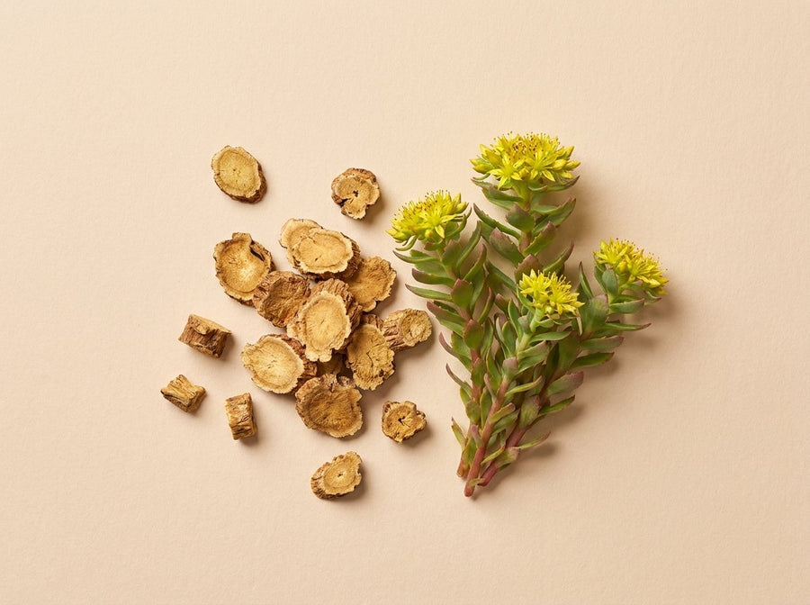 Rhodiola rosea